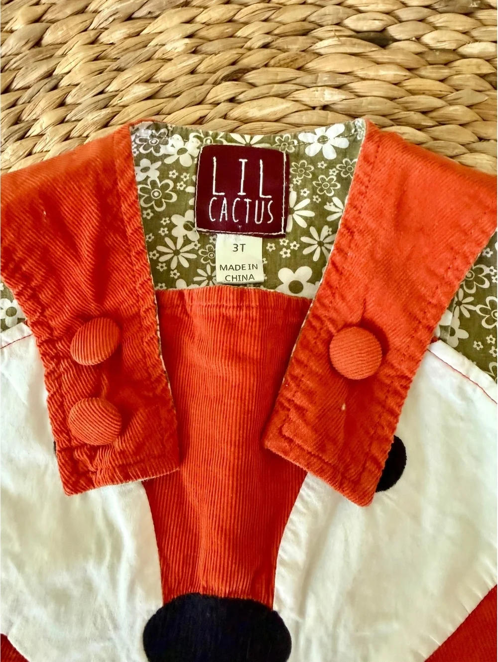 Lil Cactus Fox Corduroy Jumper Sz 3T EUC